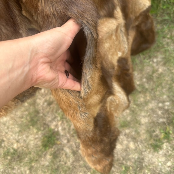 Real fur jacket with hood - Picture 3 of 13